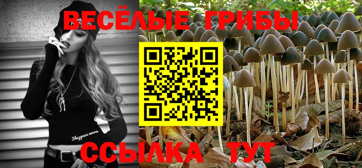 Галлюциногенные грибы Psilocybe Зеленодольск