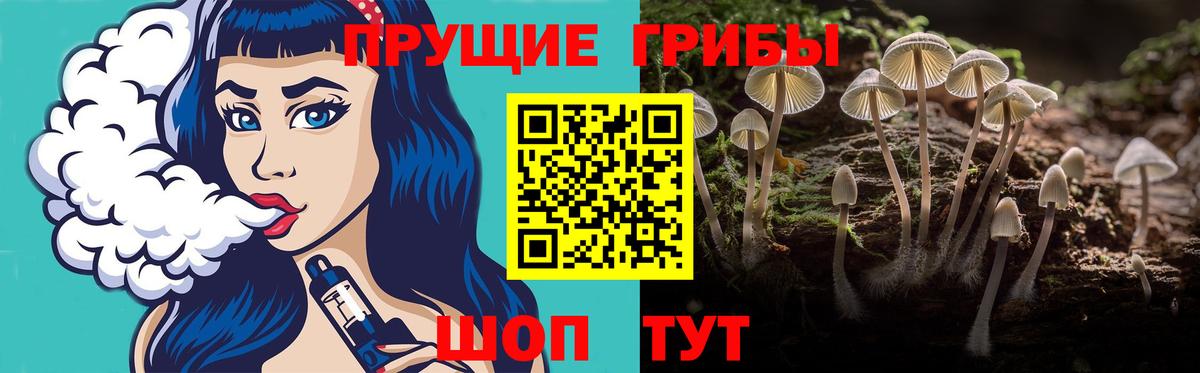 Зеленодольск  Галлюциногенные грибы мухоморы  Вход с VPN 